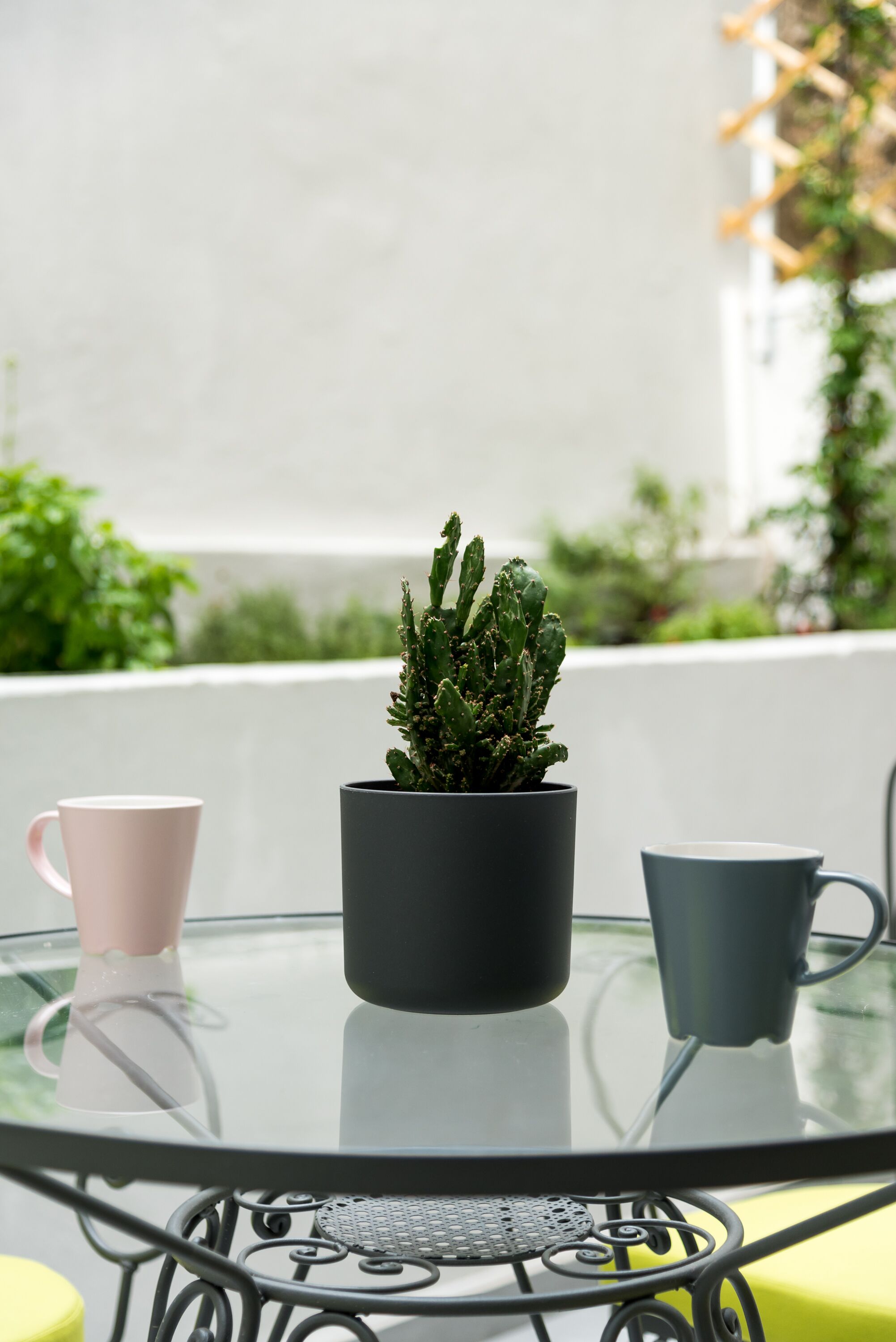 A glass table with a potted cactus, two mugs, and a metal chair.
