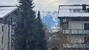 Un edificio con techo nevado, un abeto grande en primer plano y una cordillera al fondo.