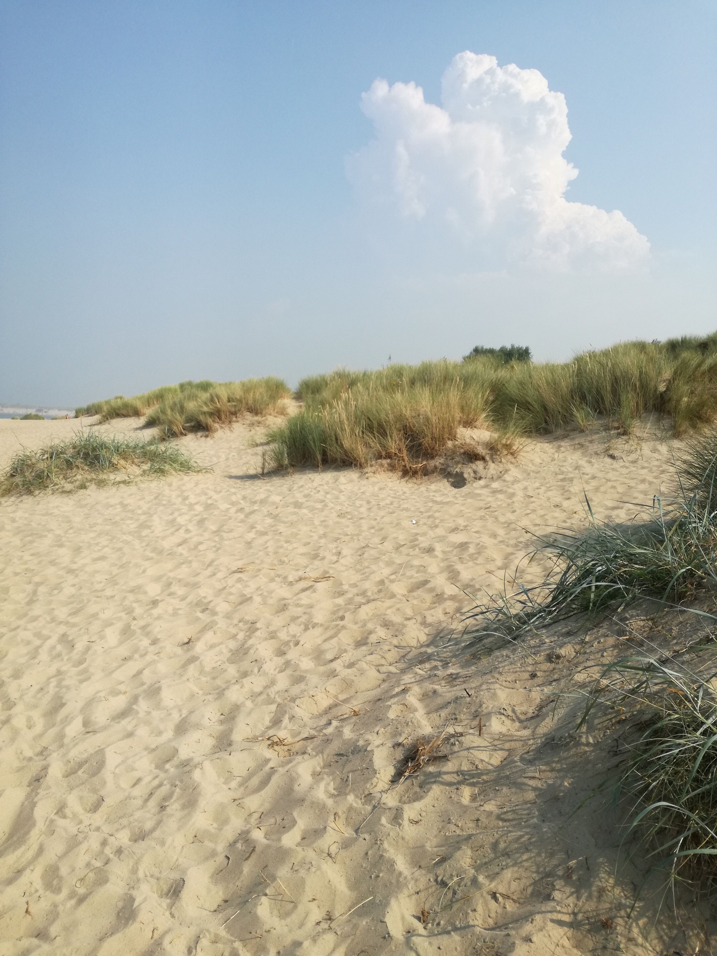 Ligstoelen aan het strand