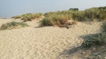 Ligstoelen aan het strand