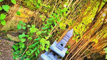 Overnatningsstedets område