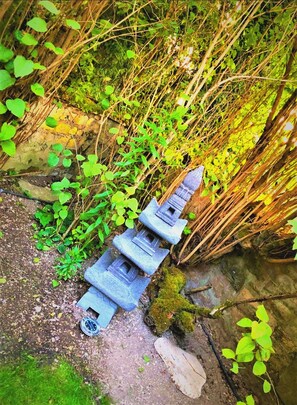 Terrain de l’hébergement 