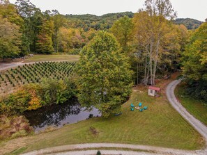 An aerial view of a forested area with a pond, a small shed, and a row of trees.