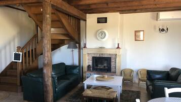 Télévision, cheminée, lecteur de DVD, table de tennis de table