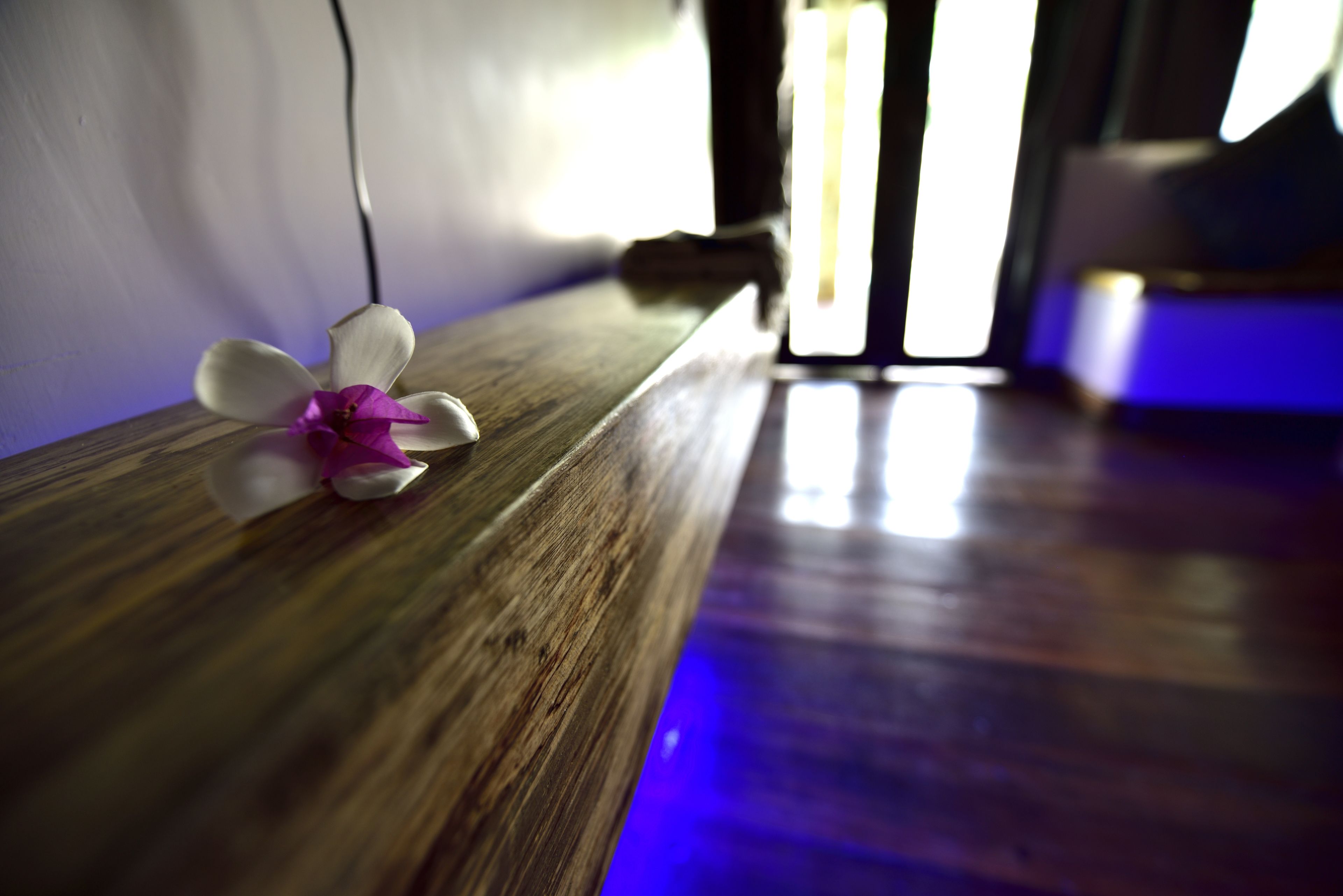 Eine Holzfläche mit einer Blume und einer blauen Lichtleiste.