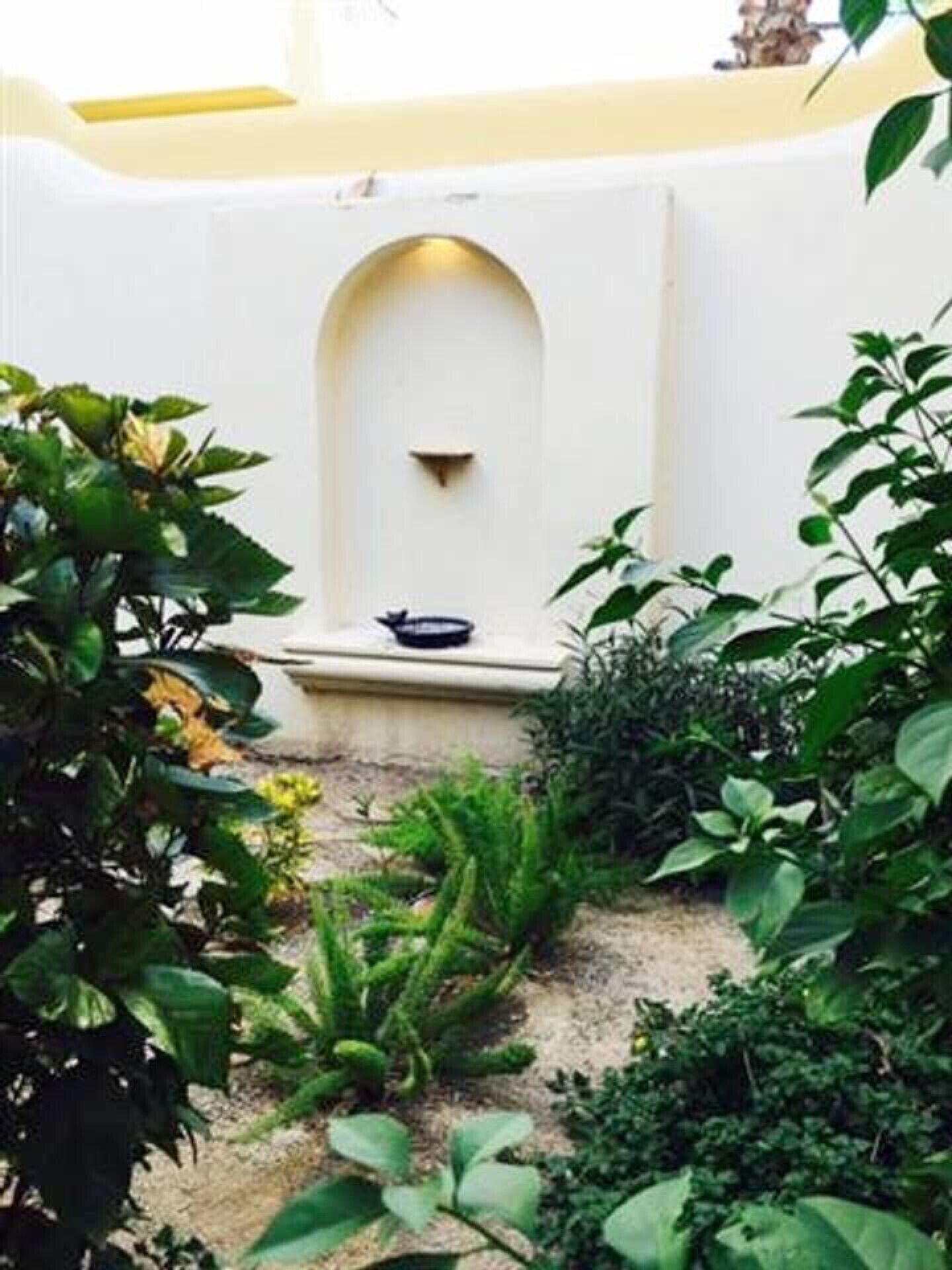 Un giardino con diverse piante e un piccolo elemento d'acqua.