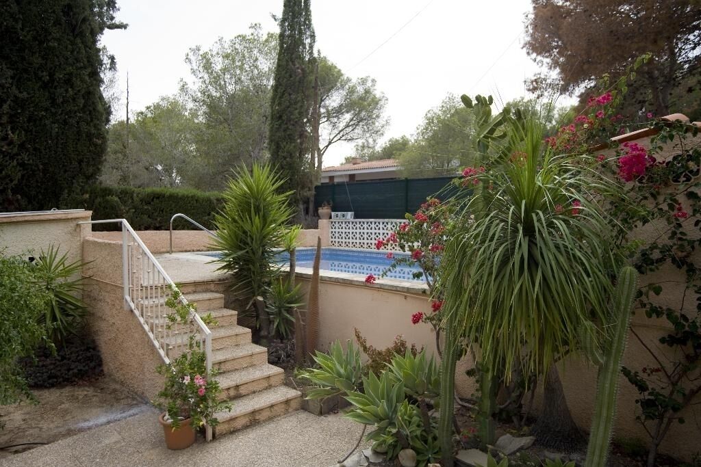 Ein Wohnhausgarten mit einer Treppe zu einem Bereich mit blau gefliestem Pool, umgeben von verschiedenen Pflanzen und einem hohen Baum.