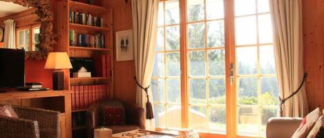 Fernseher, Kamin, DVD-Player