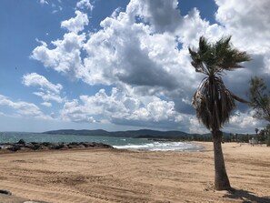 A sandy beach with a palm tree, ocean waves, and a partly cloudy sky.
