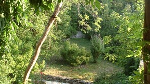 A natural landscape with a stream, dense greenery, and a stone wall.