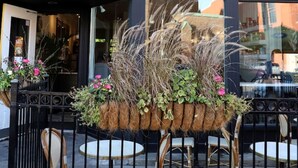 Een café genaamd 'BALZACS' met terras en een plantenbak met planten.