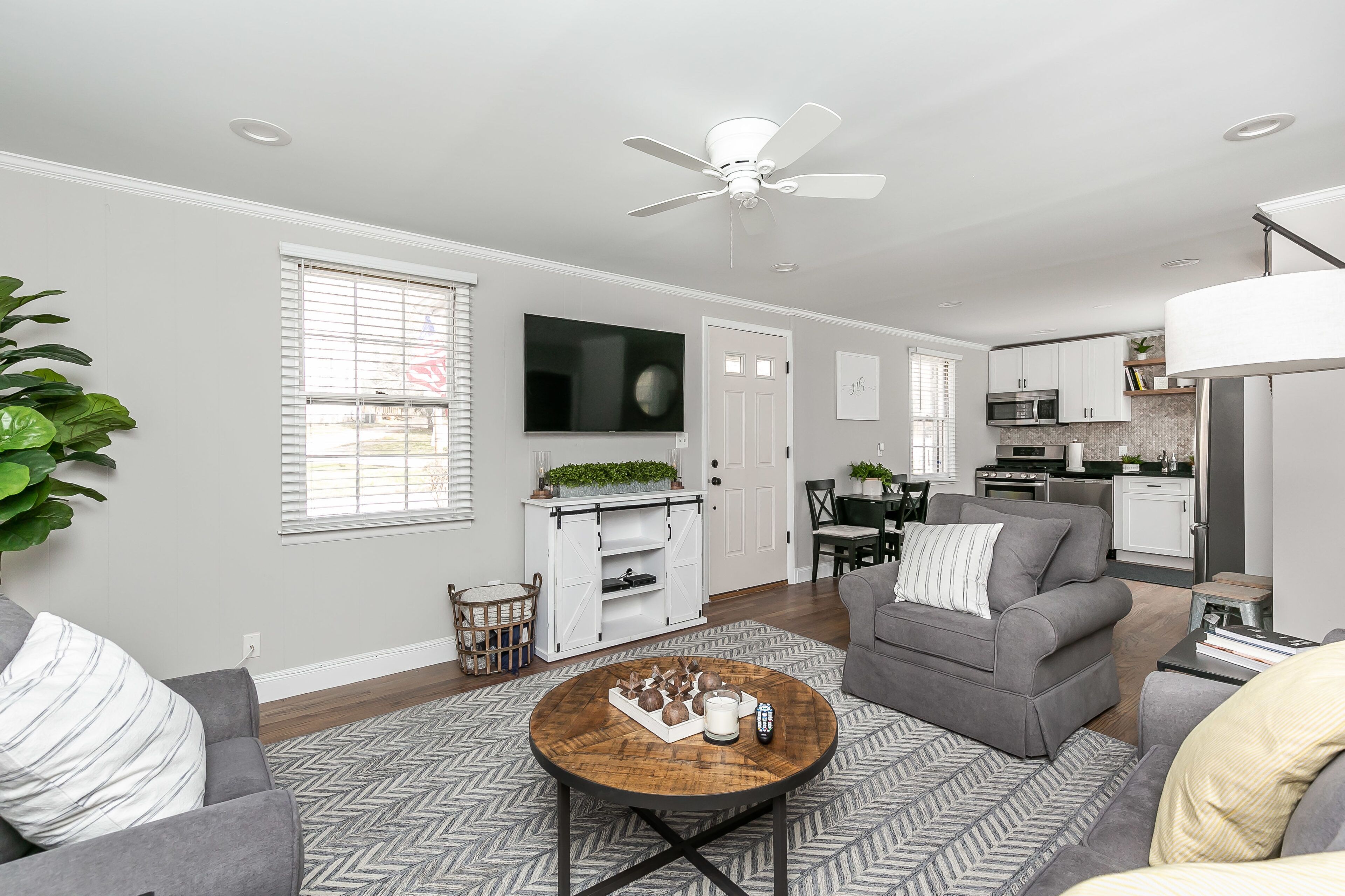 Télévision, cheminée, lecteur de DVD, livres