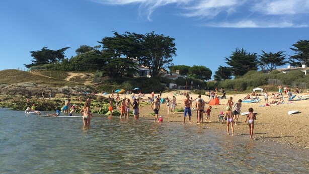A beach with clear shallow water, people sunbathing, and trees in the background. - 2 rooms apartment entirely renovated of 36 m2 (Noirmoutier-en-l'Île)