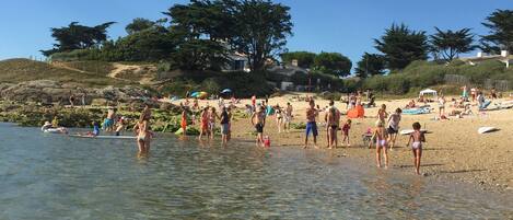 Plage, chaises longues