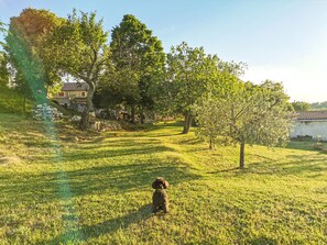 Property grounds - Villa Aldo, renovated traditional Istrian house (Pontiera)