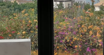 Appartement T2 numéro 3