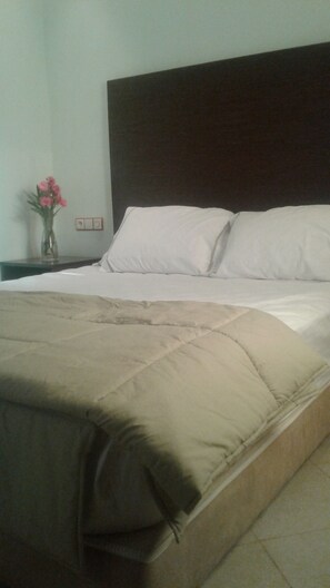Habitación con 1 cama doble o 2 individuales, no fumadores | Sábanas de algodón egipcio, ropa de cama de alta calidad, escritorio