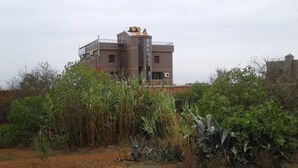 Un edificio de varios pisos con una torre central, rodeado de vegetación densa.