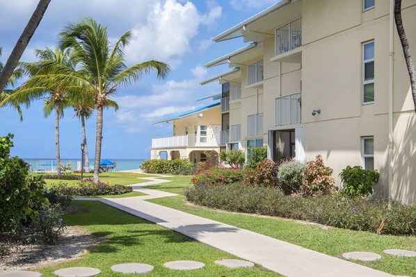 Um hotel com um caminho que leva a uma varanda com vista para o oceano, rodeado por palmeiras e jardins bem cuidados.