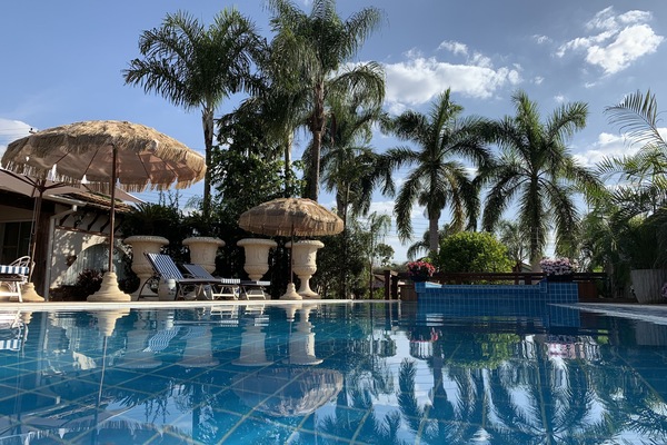 Outdoor pool, pool umbrellas, sun loungers