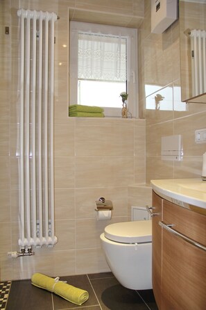 Regadera, secadora de cabello, papel de baño