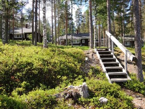 A forested area with a wooden staircase leading to a cabin.