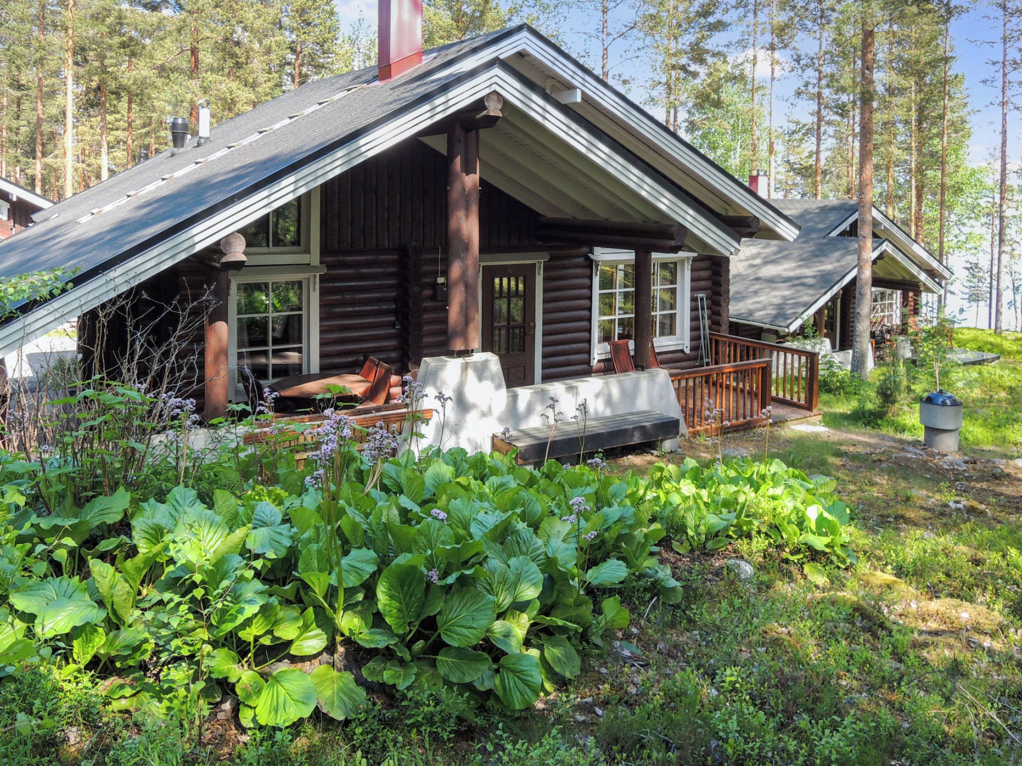 Eksteriør