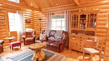 Televisio, DVD-soitin