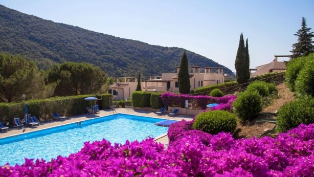 A swimming pool surrounded by vibrant purple flowers, with a mountain backdrop and a few buildings in the distance. - Terrazza Cala Rossa by Interhome (Nisporto)