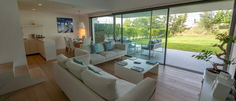 Télévision, cheminée, lecteur de DVD, livres