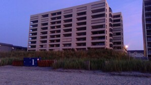 Eksteriør
