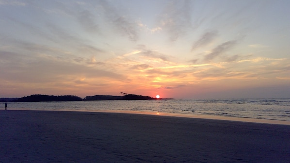 Une plage au coucher du soleil, avec la silhouette d’arbres et une personne qui se promène.