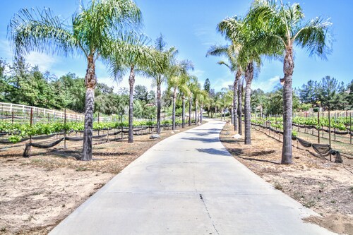 Rancho Vista estate in the heart of Wine Country with Private Grapvines