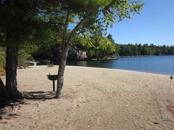 A sandy beach with a tree and a bird feeder, a lake, and a house in the background. - Bear Cabin Winnipesauke beach access, family/dog friendly home fenced in Yard. (Moultonborough)