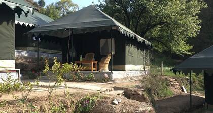 Camp Dharamshala - Luxury with peace