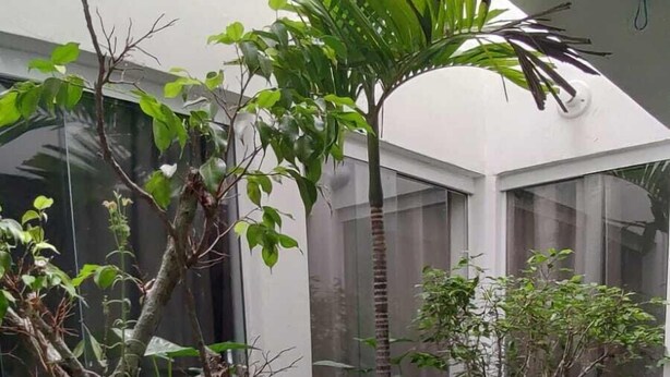 A modern indoor garden with various potted plants and a glass ceiling.