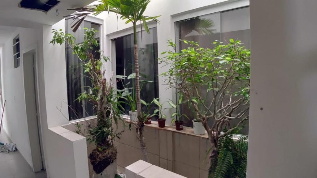 A corridor with potted plants and a bench.