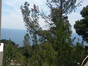 Vista desde la propiedad