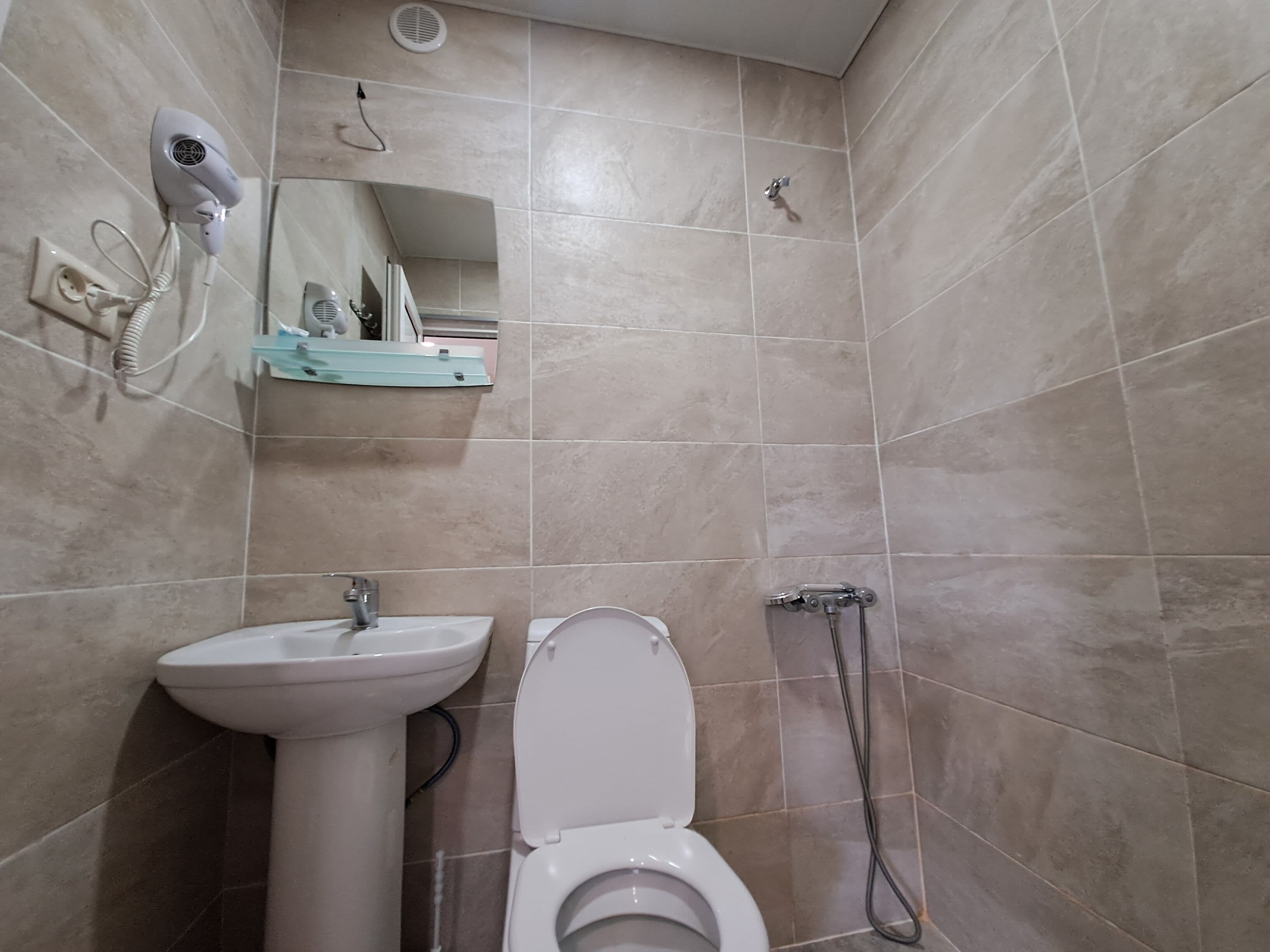 A bathroom with a sink, toilet, and a handheld showerhead.