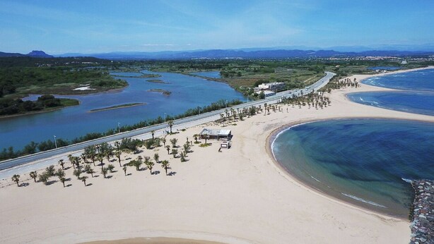 Vista aérea de una zona costera con playa, río y carretera bordeada de palmeras.