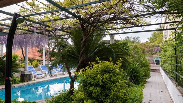 Un espace piscine avec des chaises longues et une structure en forme de pergola.
