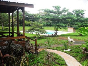 Property grounds - Wetlands Lodge ~ Cabin 7 (Alajuela)