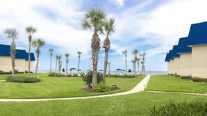 A well-maintained lawn with palm trees, a pathway, and a view of the ocean.