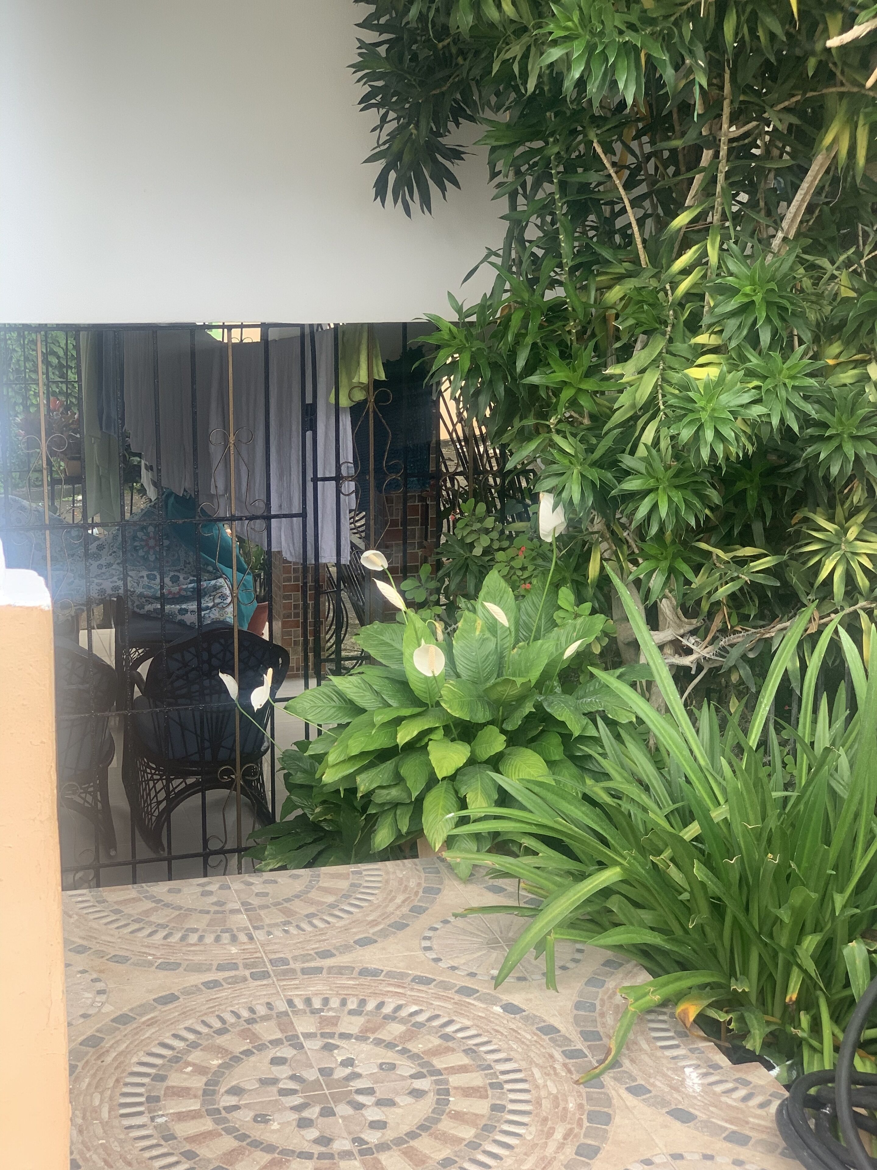Un espace patio doté d’un sol à motifs, d’une porte en métal et d’une végétation luxuriante.