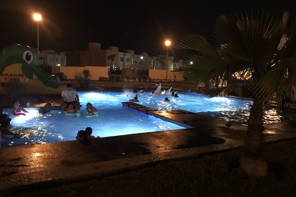 Pool