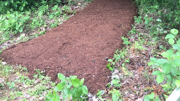 A forested area with a dirt path leading to a white house with a green roof. - Little Beans Cottage on Great Pond, Belgrade ME (Rome)