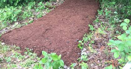 Little Beans Cottage on Great Pond, Belgrade ME