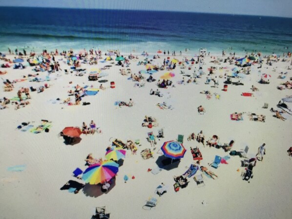 بالقرب من الشاطئ، كراسي للتشمس، مناشف للشاطئ