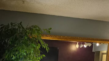 Smart TV, Netflix, Hulu y libros