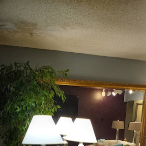 Smart TV, Netflix, Hulu y libros